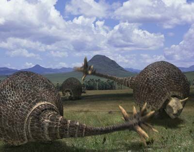 Glyptodontidae | Walking With Wikis | Fandom