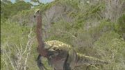 300px-CBD1x1 Therizinosaurus