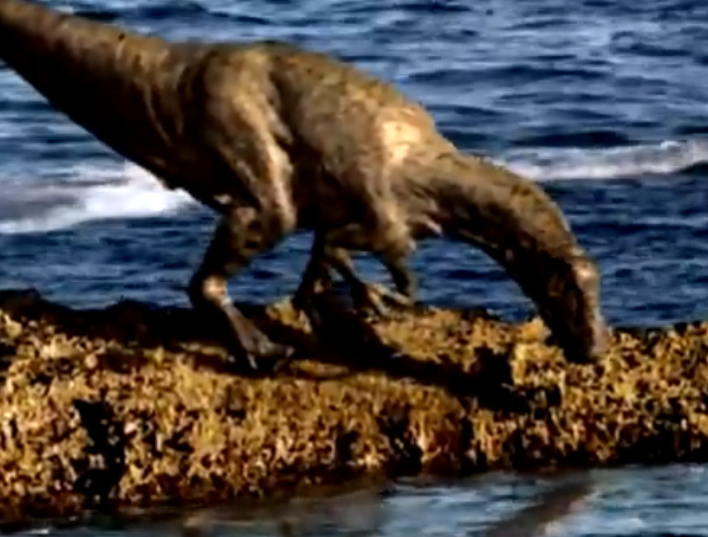 walking with dinosaurs eustreptospondylus walking with dinosaurs eustreptospondylus