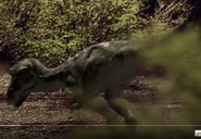 0168 Tyrannosaurus Chicks 1999.png (608 KB)