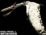 Quetzalcoatlus z1