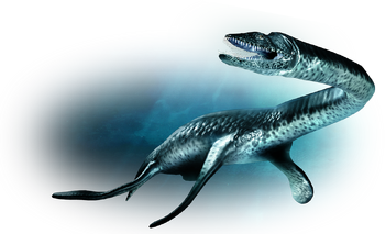 dino gallery