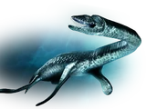 Plesiosaurus