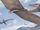 Pteranodon/Generation 1