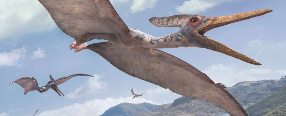 How Did Pteranodon Walk?