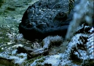 A Koolasuchus eating a dead Leaellynasaura in Walking with Dinosaurs