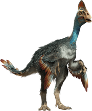 Chirostenotes