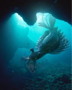 WWM Anomalocaris.jpg (87 KB) Anomalocaris eating a trilobite