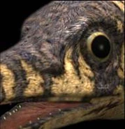 Ophthalmosaurus background.jpg (8 KB)