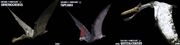 Cretaceous pterosaurs