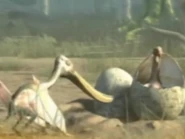 Pterodaustro trying to eat an Argentinosaurus Hatchling
