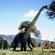 BrachiosaurusPromo