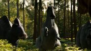 The T. rex on the right side of the standing small group of Edmontosaurus
