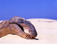 GorgonopsProp.jpg (525 KB)