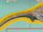 Muraenosaurus