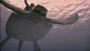 SM1x3 NigelRidingAnArchelon