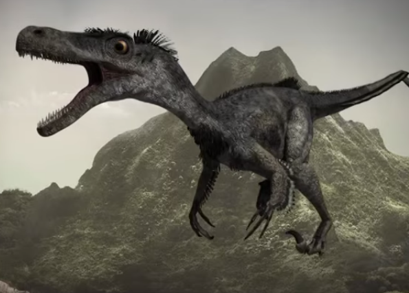 walking with dinosaurs velociraptor walking with dinosaurs velociraptor