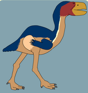 Gastornis (Skeleton Jigsaw Game)