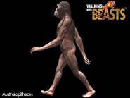 Australopithecus side-view profile from the official WWB website.