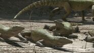 A float of Chasmatosaurs on a river bank.