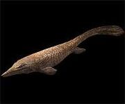 185px-Giantmosasaur1