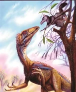 Eoraptor & Megazostrodon