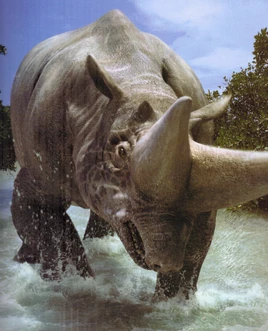 ArsinoitheriumInfobox