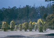 A migrating herd of Muttaburrasaurus