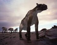 An Ancylotherium walking across a rocky plain.