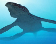 Liopleurodon newest.png