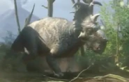 Pachyrhinosaurus in Wonderbook