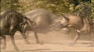 Entelodons fighting a Hyaenodon