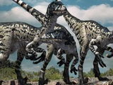 Dromaeosaurus