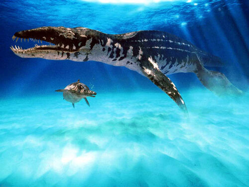 Liopleurodon