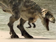 0A604617-53DE-4763-B453-E2AF4A74B1A9.jpeg (673 KB)