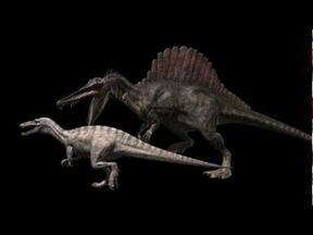 Spinosaurs