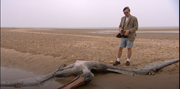 David Martill with the pterosaur on the ground