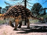 Ankylosaurus