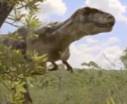 109E5595-950A-43CA-8738-979E6B9A6CFE.jpeg (369 KB)