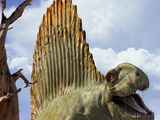 Dimetrodon