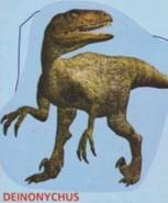 E64D81F9-EF48-47C1-95EF-714C2DC208EE.jpeg (995 KB) Deinonychus (Official Sticker Album)