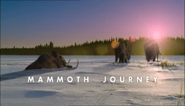 MammothJourney