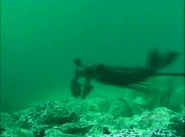 Screenshot 20181218-163147.png (1.03 MB) Anomalocaris close up