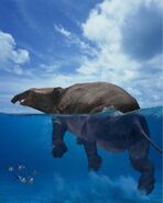 A swimming Moeritherium