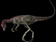 8EA236A8-2DD0-41DC-817C-B6B725D7F5E2.jpeg (151 KB)