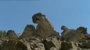 A herd of Lystrosaurus on a rocky ledge.