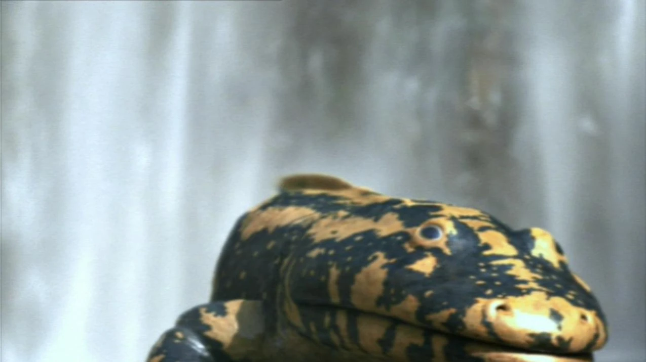 walking with monsters 2