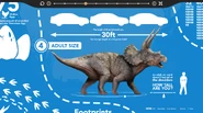 Triceratops (Dino Gallery Concept Art)