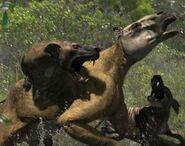 Hyaenodon attacking Chalictherium.