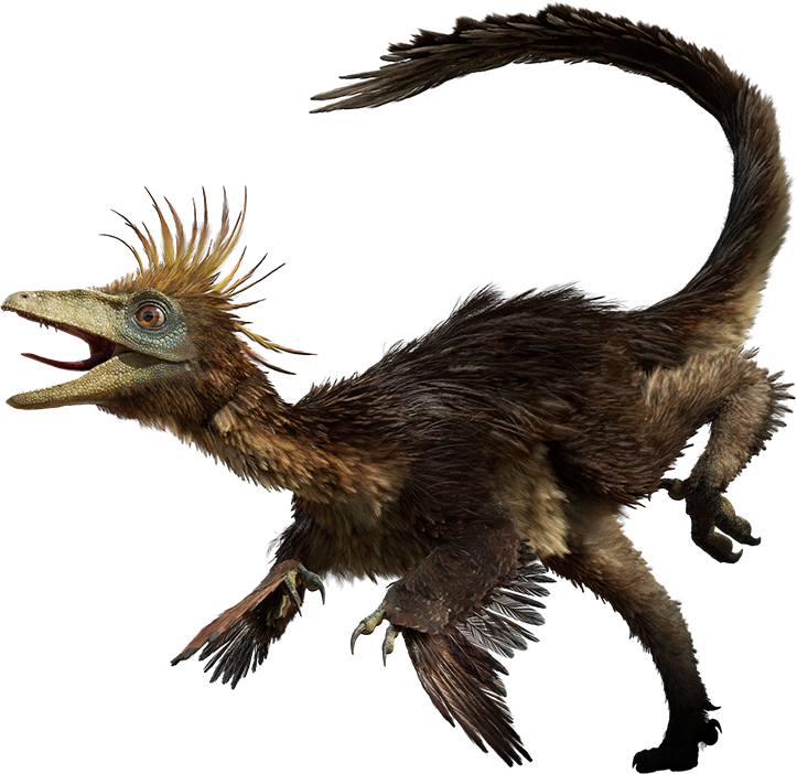 Walking With Dinosaurs: Dino Run